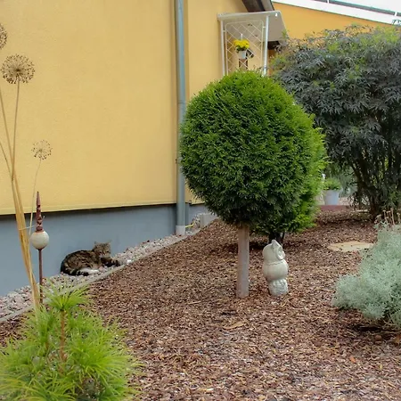 Lejlighed Am Dornheimer Berg Arnstadt